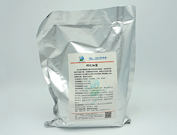 中山硝化细菌