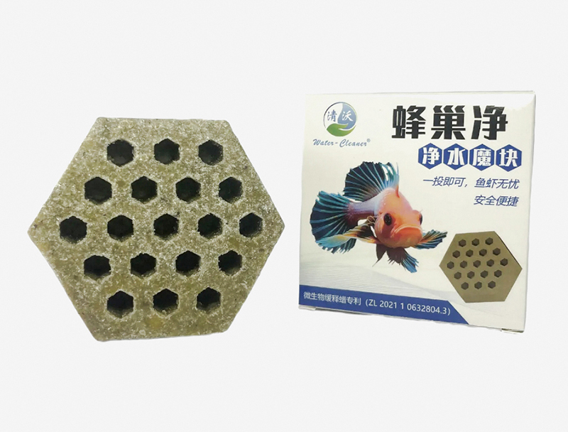 中山菌方